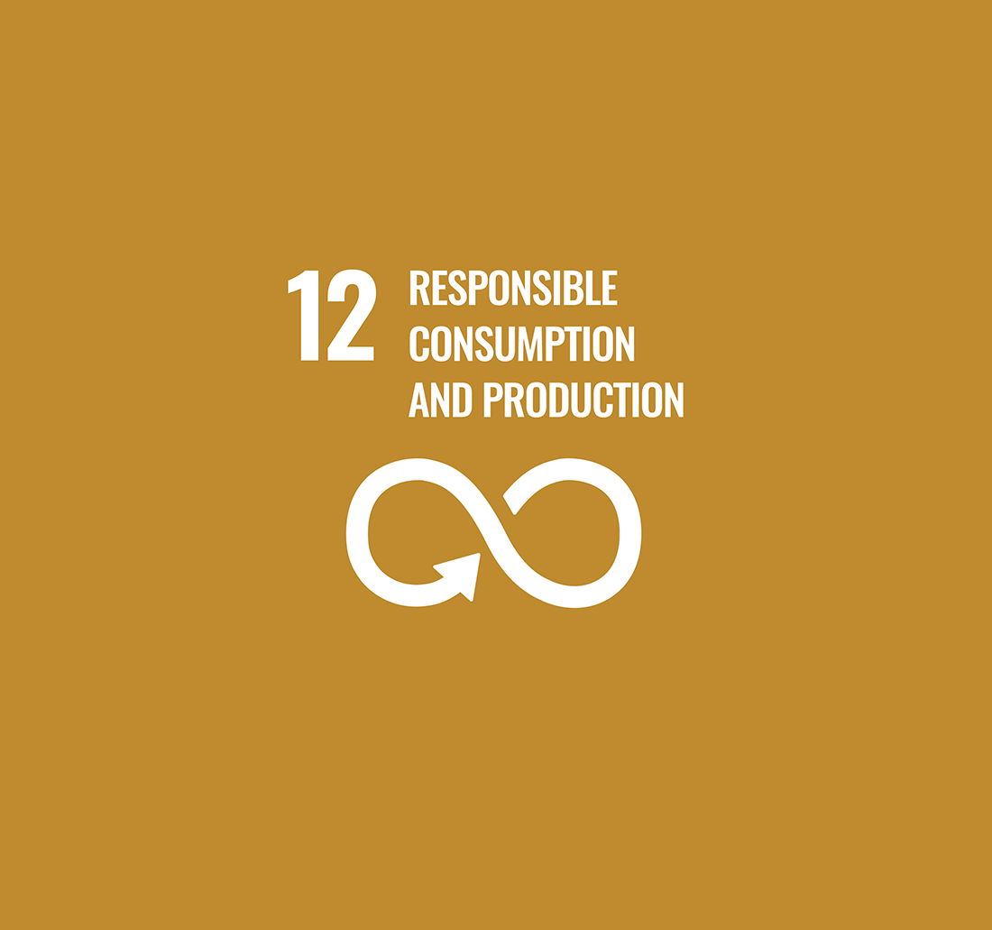UN Global Sustainable Development Goal 12