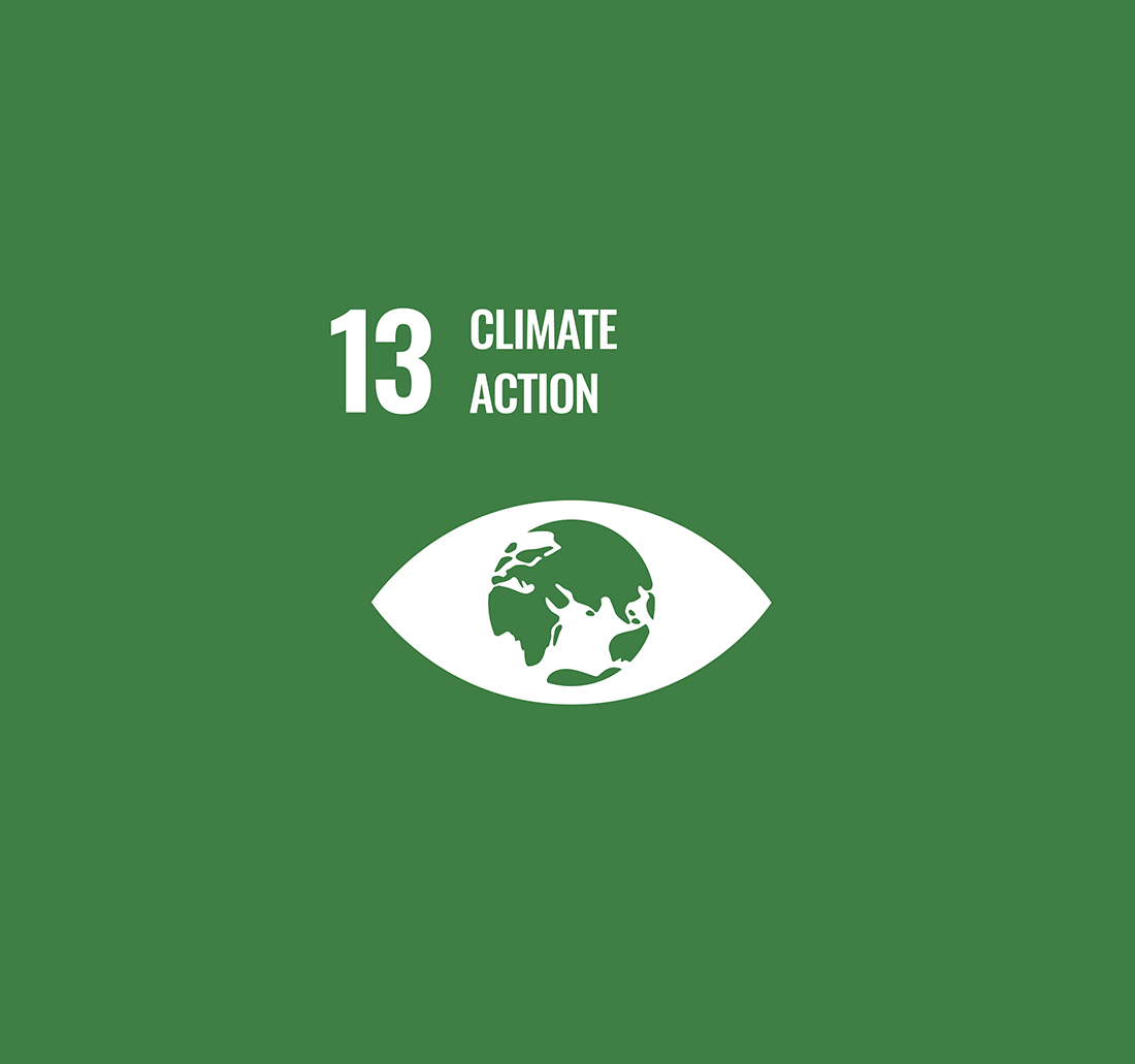 UN Global Sustainable Development Goal 13