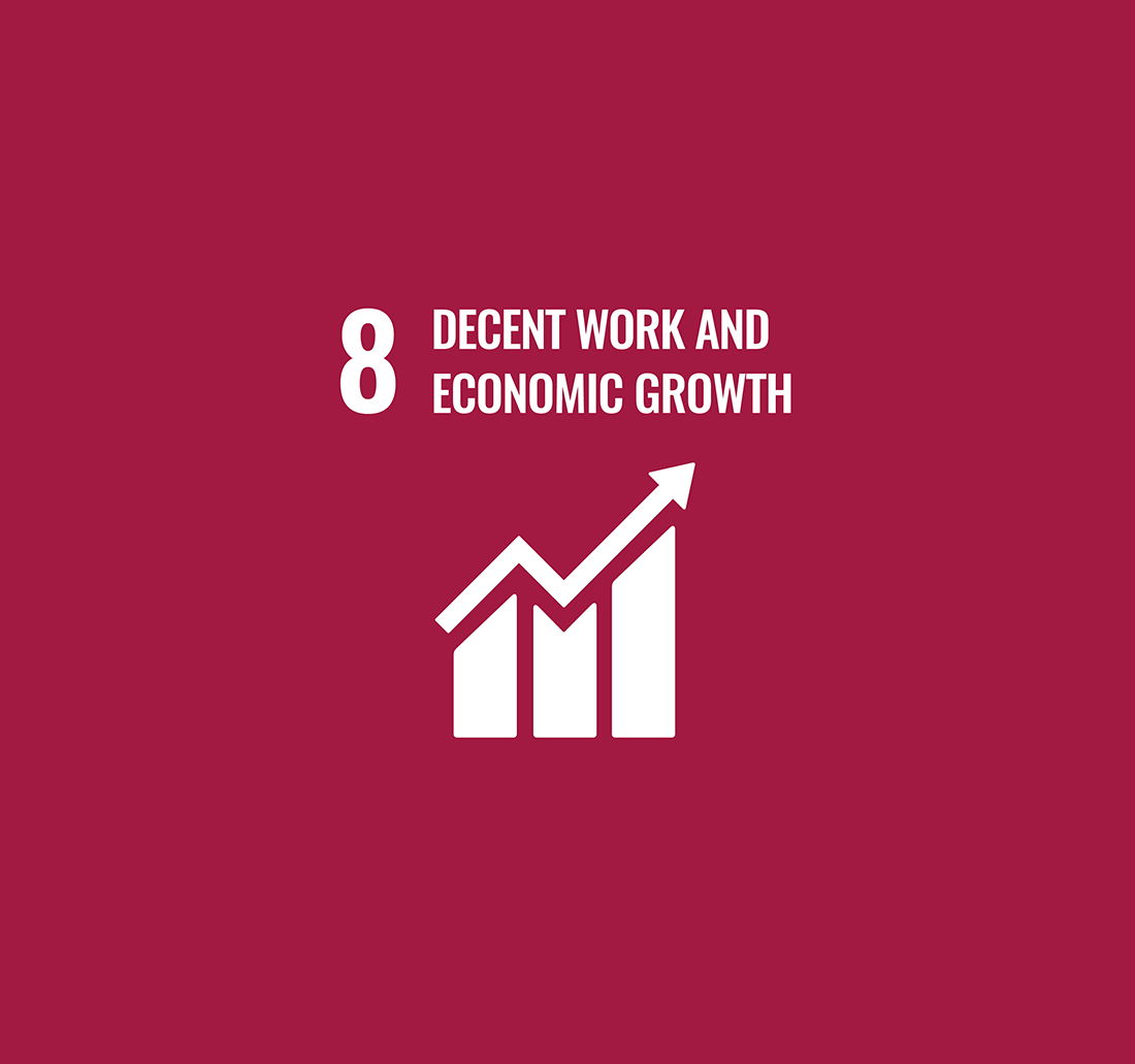 UN Global Sustainable Development Goal 8