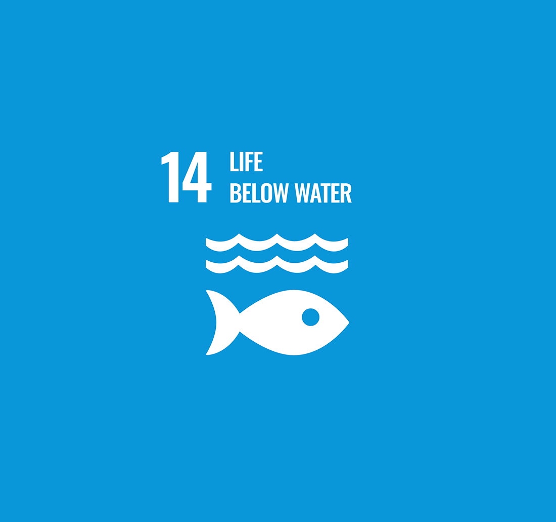 UN Global Sustainable Development Goal 14